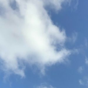 Meet your Posher, Jonah